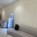 플래뉴의원 | 강남역 피부과에서 슈링크 + 물광주사 내돈내산 후기 플래뉴의원