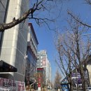 웨딩아리아나 | 웨딩아리아나 2층 단독홀 하객 후기(주차장,뷔페 정보)