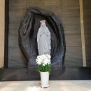 조달청사약국 이미지