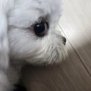 7월의 2째주 꾸준히 애용중인 꿀템소개