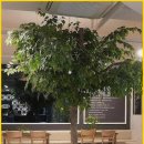 화이트라인치과의원 | 화이트라인치과의원 치과 방문, 생각보다 훨씬 편했어요