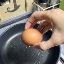 양촌농원 2농장 이미지