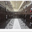 도양헬스 이미지