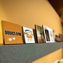 Dooice Gym 이미지