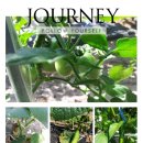 오월농장 이미지