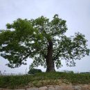 서산스포츠댄스학원 이미지