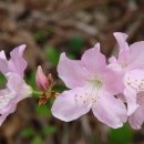 장덕2리 이미지