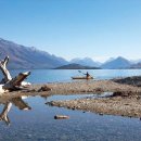 황금농장2 이미지