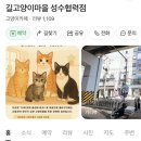 성수왕방힐링마을 | [성수] 서울 고양이 카페 길고양이마을 성수협력점 : 성수 실내 데이트 추천 🐱