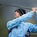 비요르크 이미지