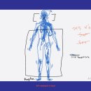 더히말라얀 이미지