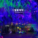 광명동굴 이미지