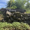 제주숲한의원 이미지