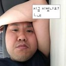 땡벌 이미지