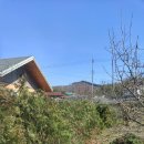 청해농원 이미지