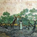 올리브 농장 이미지