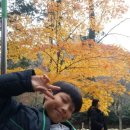 오성농장 이미지