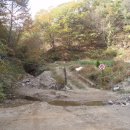 진우목장 이미지