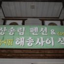 해상송림.해송사이