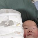 라인베베 | 킨도 베베가드 네이처 후기｜부드럽고 안심됐던 아기 기저귀 추천
