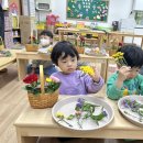 남평초교 병설유치원 이미지