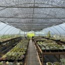 경숙농장 이미지