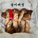 신정농산 이미지