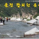 왕피천 은어길 이미지