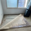 용산-현장-1555 이미지