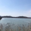 용당천 | 서산 남부교(천수만 상류 도당천)포인트 2주 연속 배스 낚시 다녀왔어요~