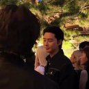 지디컬렉션