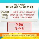 홍어본가 이미지