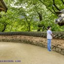 돌담 - 완주군 대둔산로 2151-74 | 돌담