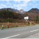 대둔산로(2) 이미지