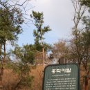 이화박물관 이미지