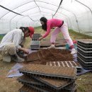 유영훈농장 이미지