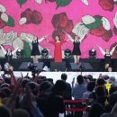 장미도시락 이미지