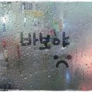 용용이네 이미지