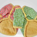 클라라애견 이미지