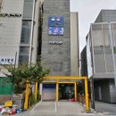 펜톤나인 이미지