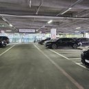 호남상회 | 노량진수산시장 회 맛집 쭈꾸미 샤브샤브 도다리 세꼬시 대게 횟집