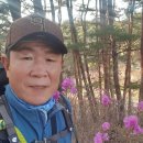 해파랑길 8차 40,451,42코스후기(사천진 해변~주문진~죽도정~하조대 34.5k) 1 이미지