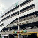 아랑조을거리 | 제주도 아랑조을거리 맛집 모루쿠다 고등어 대방어 딱해우회 올클리어 후기