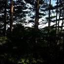 백두태양광발전소 이미지