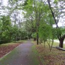 강변의 숲속 이미지