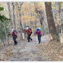 바람의언덕길 이미지