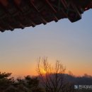 우신프라자 서측 도로 | 서울 제야의 종소리, 새해 전야제 갈만한 곳 추천!!!!