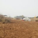 완전농장 이미지