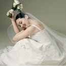 W05 - Wedding Photo Shoot 스튜디오 찾기(아이브, 노마, 소르아, 고유 등) 견적 &amp; 결정 이유