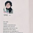 계간문예시인선 227 양채운 시집 ＜갈빗자루＞ 출간 이미지